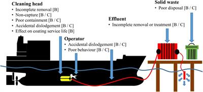 Vessel In-Water Cleaning or Treatment: Identification of Environmental Risks and Science Needs for Evidence-Based Decision Making